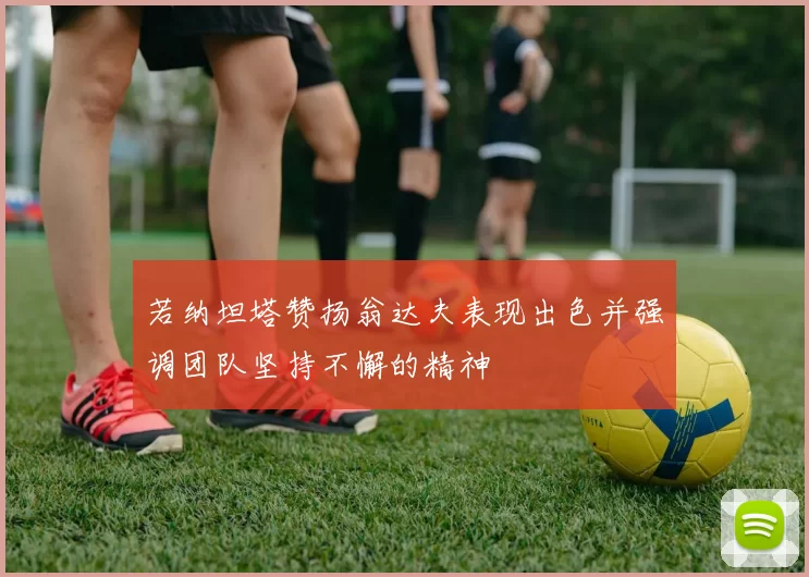 若纳坦塔赞扬翁达夫表现出色并强调团队坚持不懈的精神